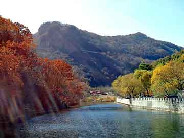 新澳天天开奖资料大全旅游团，小说倚天屠龙记续集